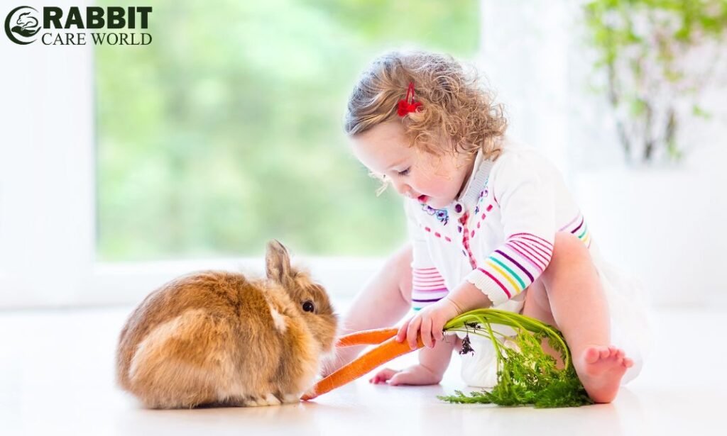 What to Feed Newborn Bunnies