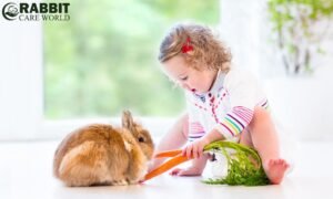 What to Feed Newborn Bunnies