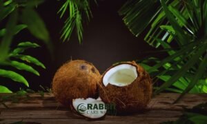 Can Guinea Pigs Eat Coconut