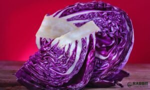 Can Guinea Pigs Eat Red Cabbage