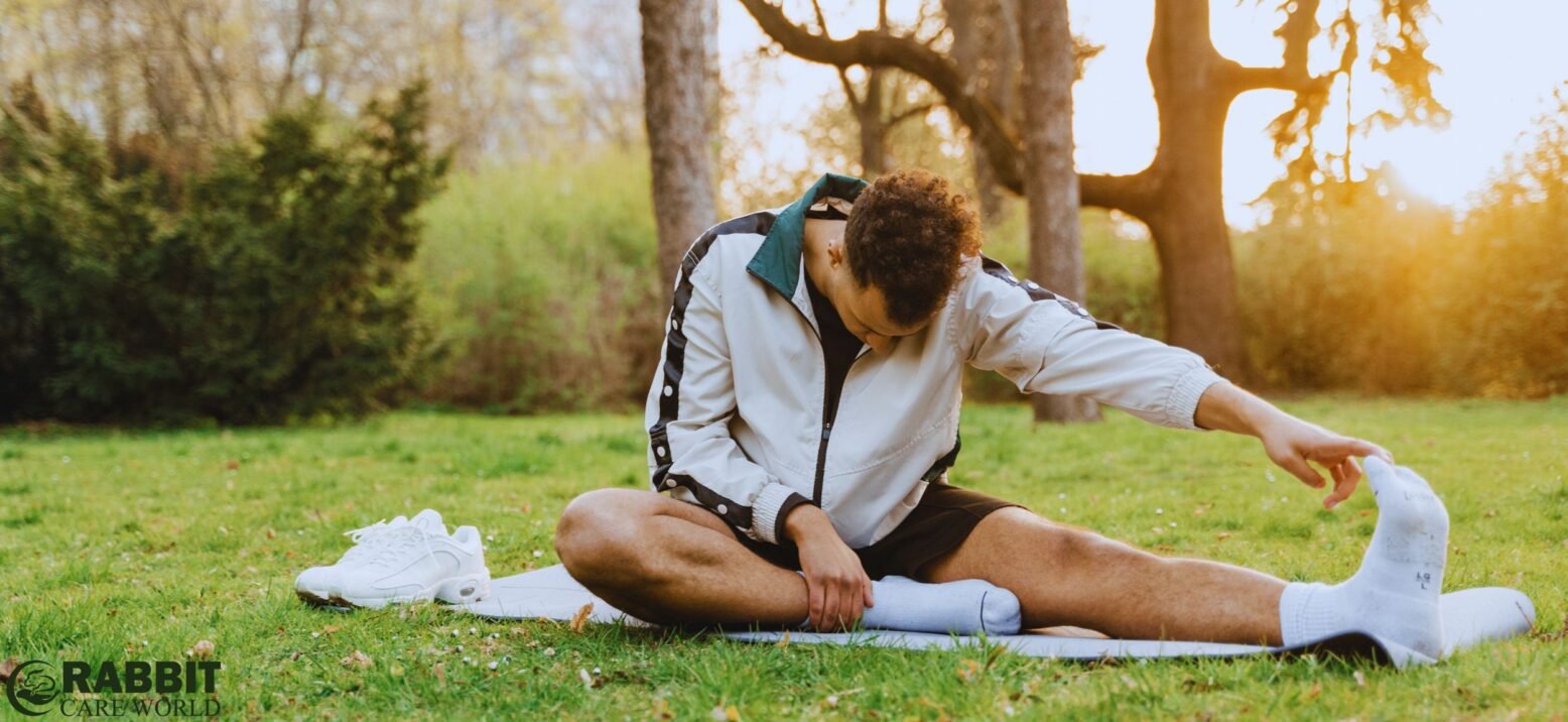 Importance Of Exercise For Bunnies