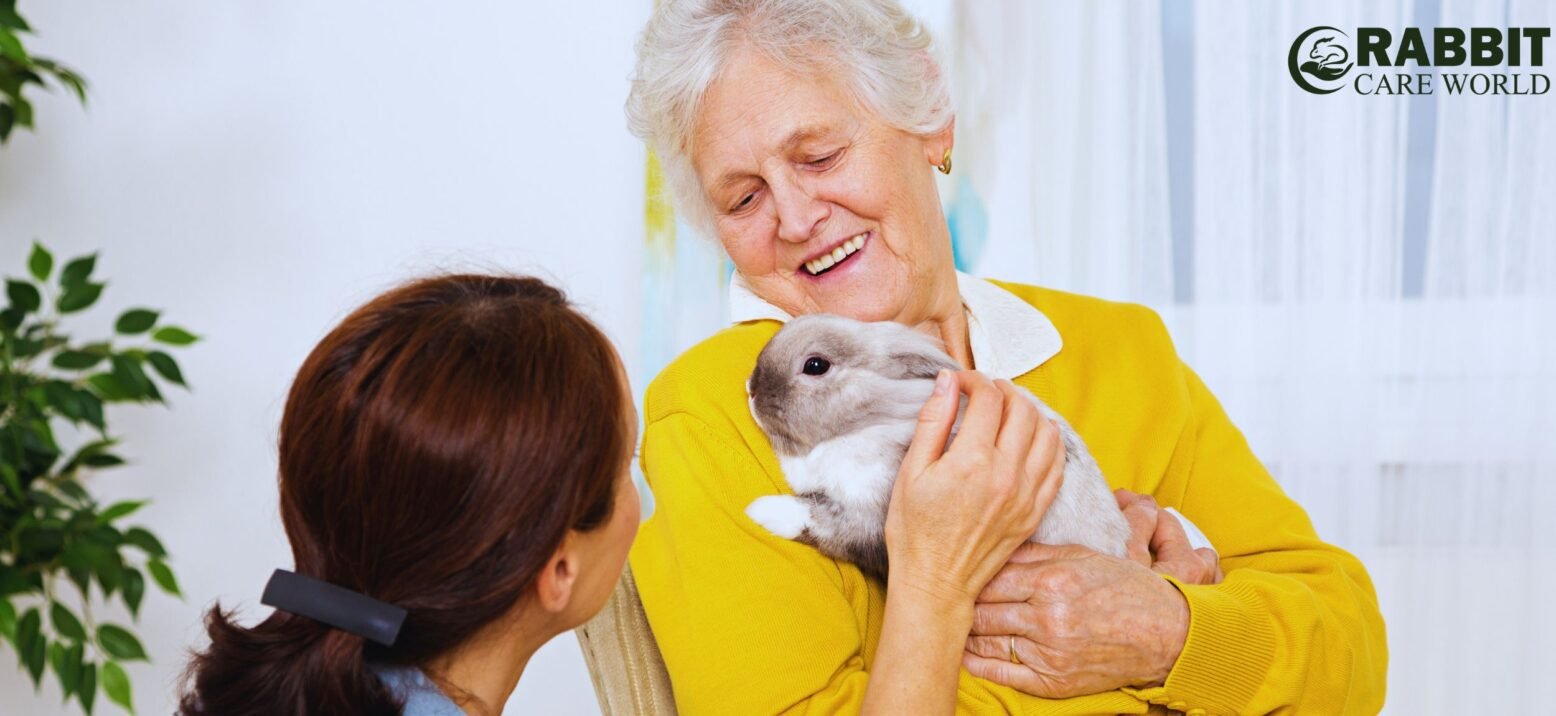 Home Care For Rabbit Eye