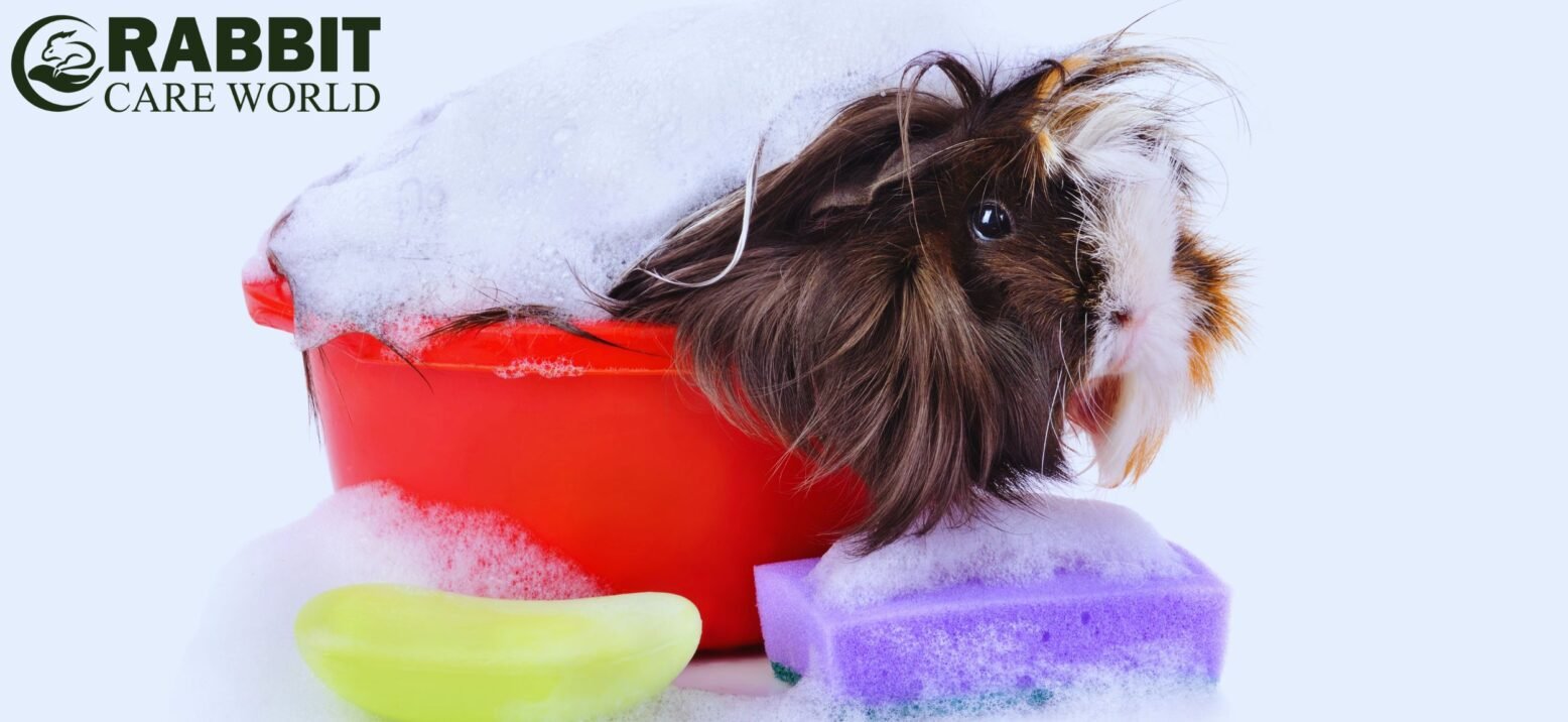 Bathing Techniques