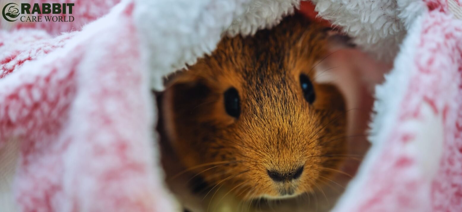 Fleece Bedding