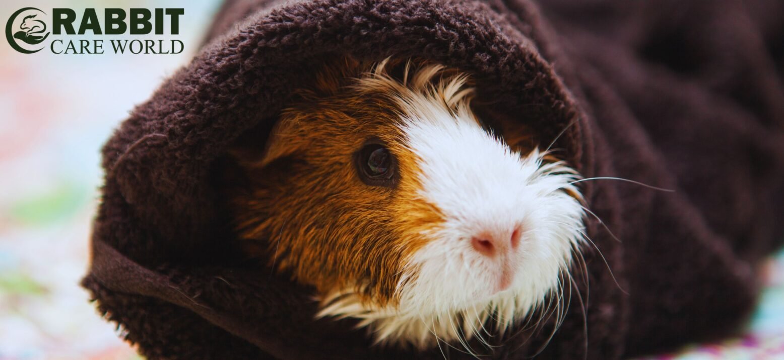Handling Bath Anxiety