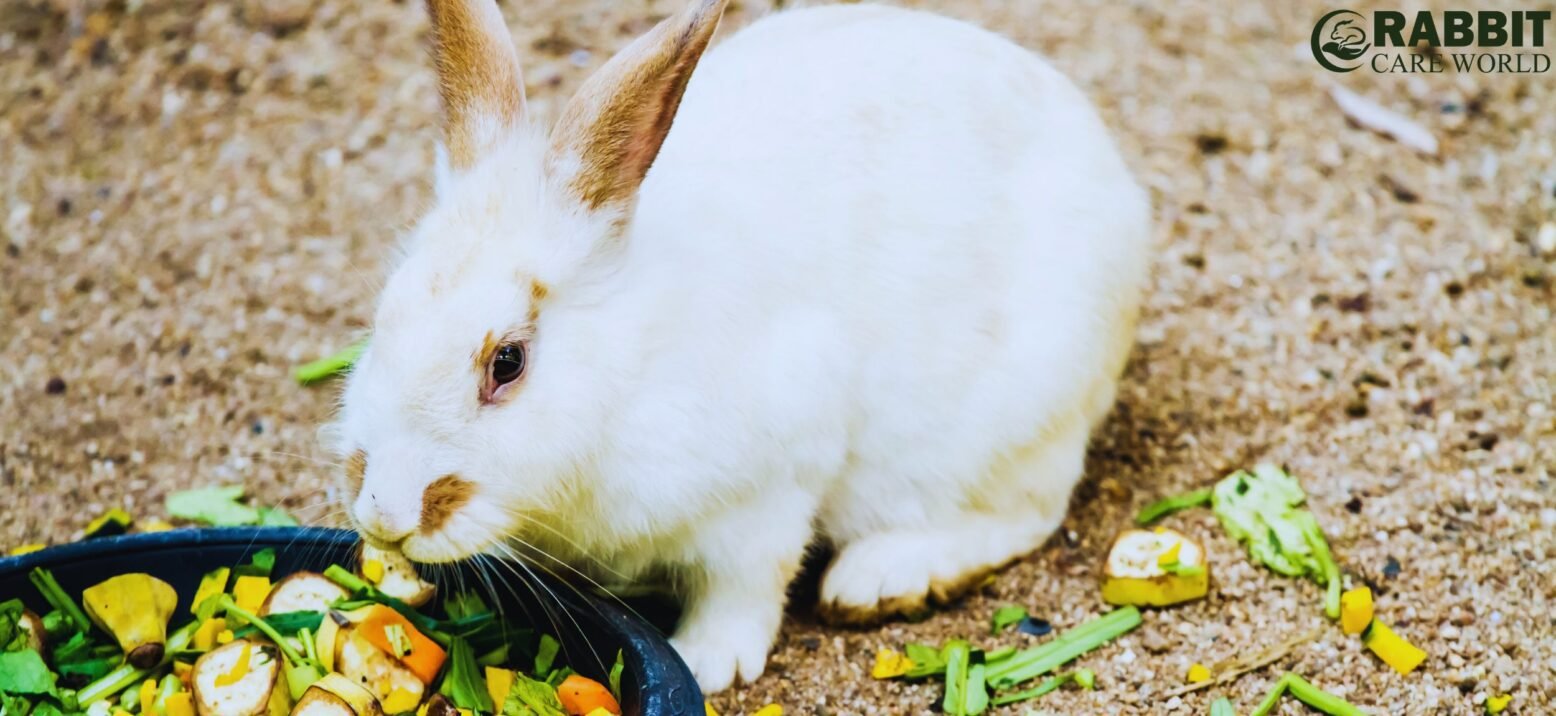 Importance Of Healthy Treats