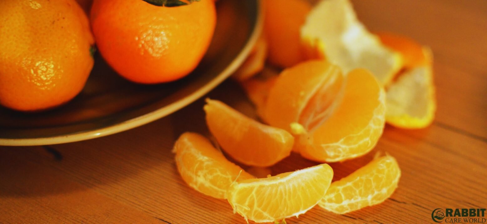 Introducing Oranges Safely