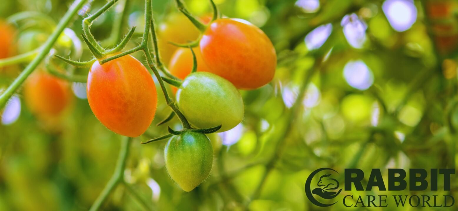Acidic Nature