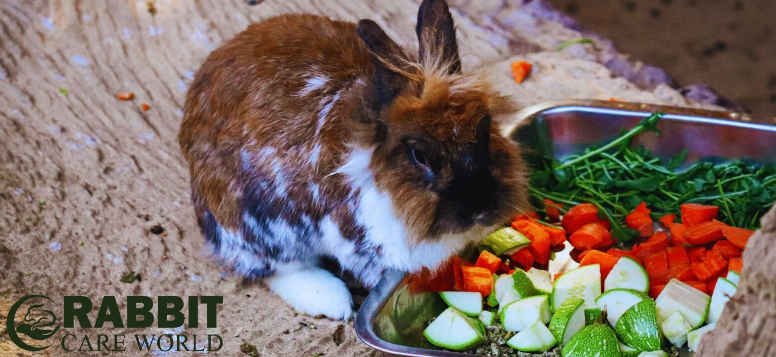 Diet And Nutrition