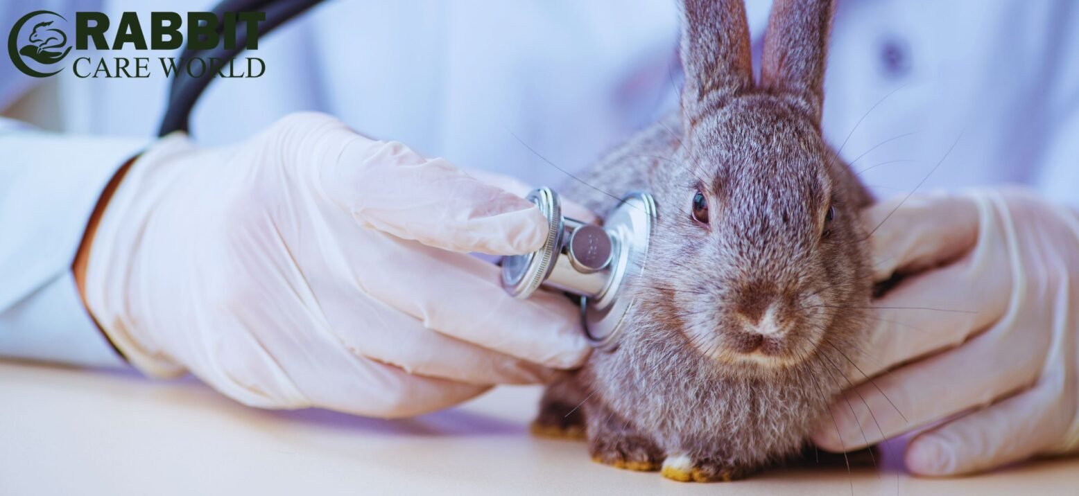 Health Check-ups