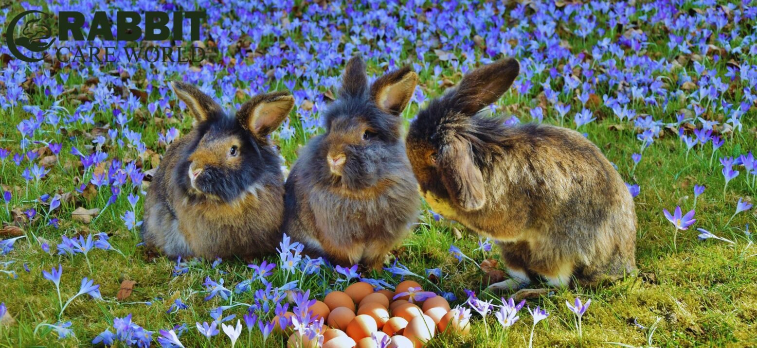 Nature-inspired Bunny Names