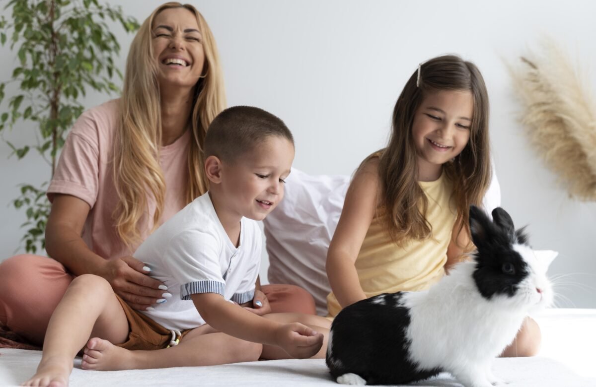 Indoor Rabbit Care Everything You Need to Know
